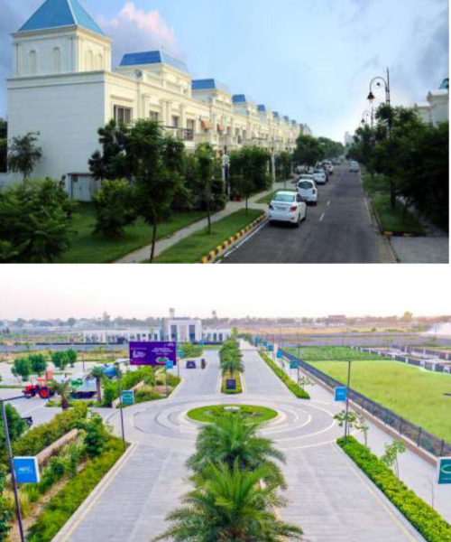 Untitled design (21)